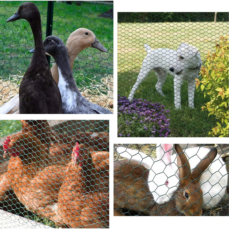 DayPlus PVC Coated Wire Fencing Galvanized Hexagonal Wire Mesh Garden Netting for Home Farm Chicken Poultry Netting Rabbit Duck