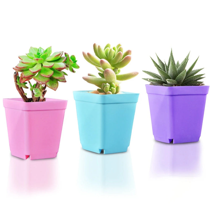 10PCS Gardening Mini Small Square Pot Flower Pot Succulent Pot Little Black Square Plastic Pot Seedling Tray Containe