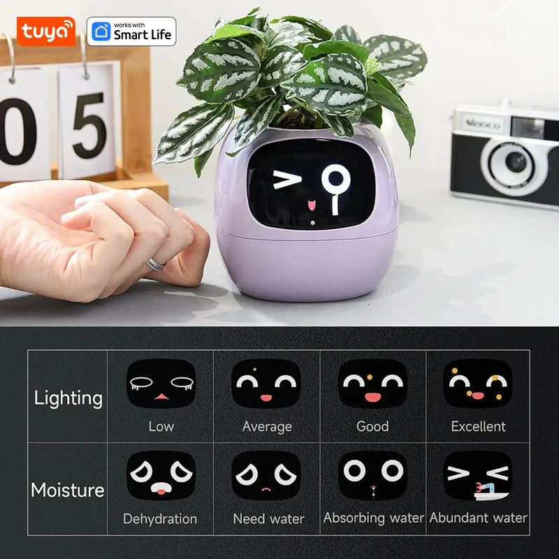 Tuya Ivy Smart Planter,Endless Fun Over 49 Rich Expressions,7 smart sensors,AI Chips Make Raising Plants Easy and Fun