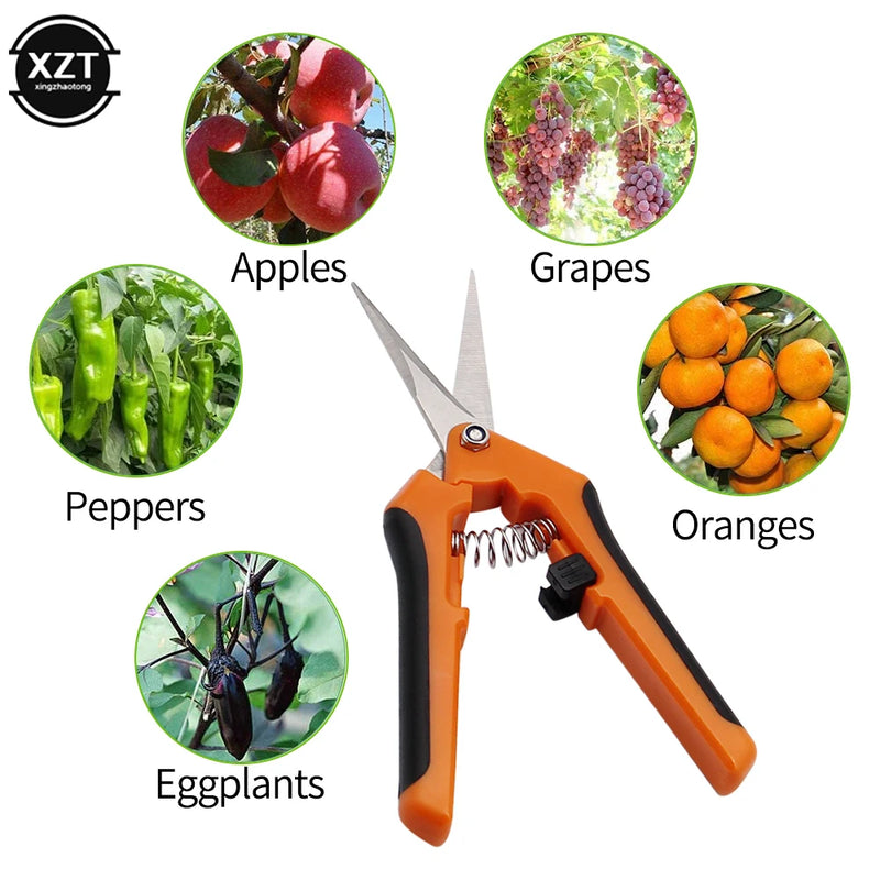 Garden Tools Secateurs Orchard Picking Gardening Scissor Pruning Tool Home Potted Hand Trim Weed Branches Flower Sharp Shears